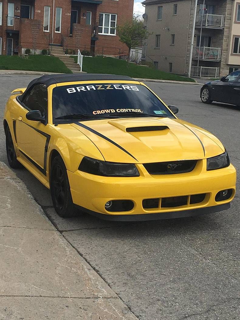 Gewoon een verzameling hilarische foto's #1127