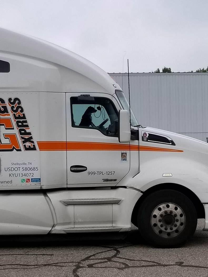 Gewoon een verzameling hilarische foto's #1089