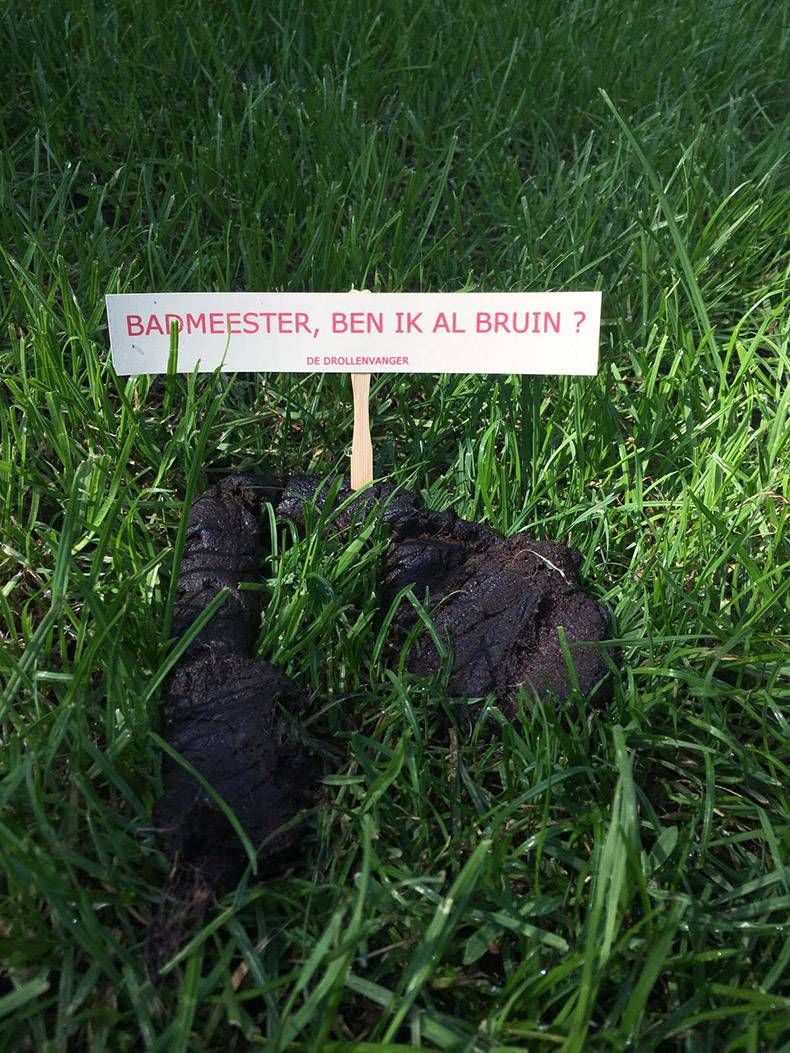 Gewoon een verzameling hilarische foto’s #858