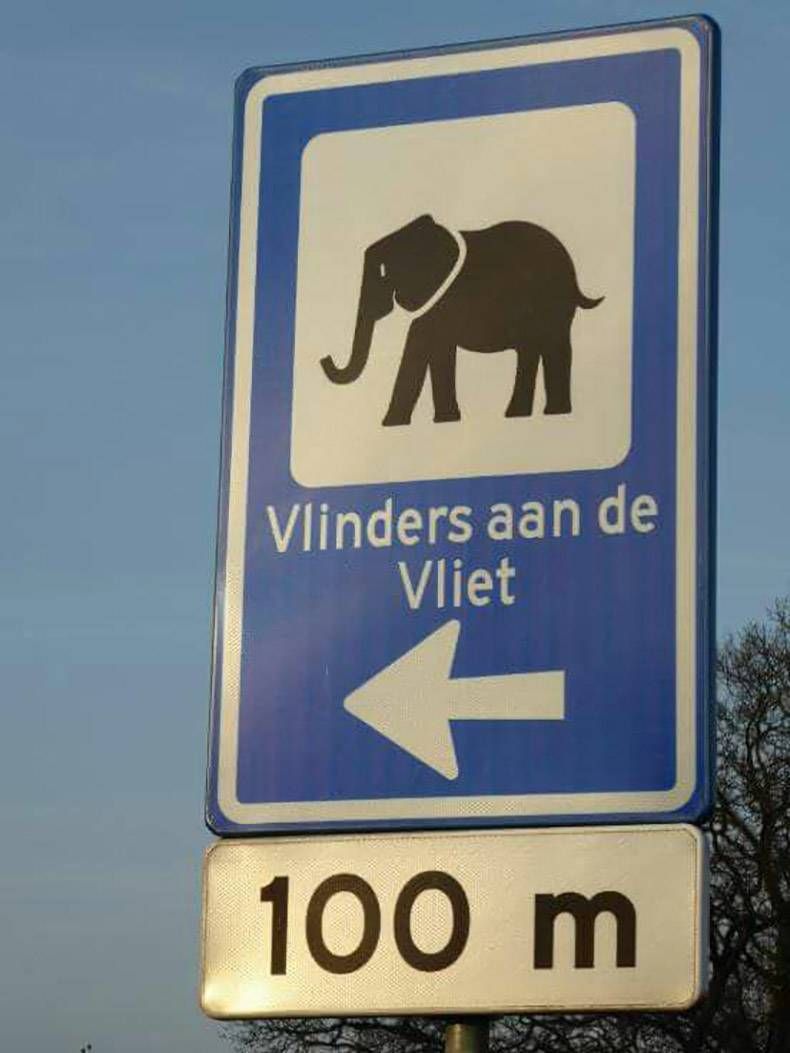 Gewoon een verzameling hilarische foto's #820