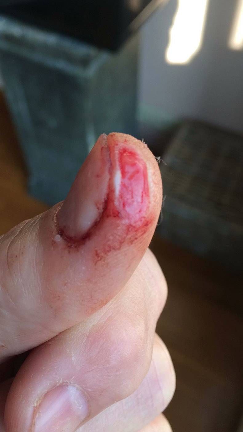 Gewoon een verzameling hilarische foto's #762