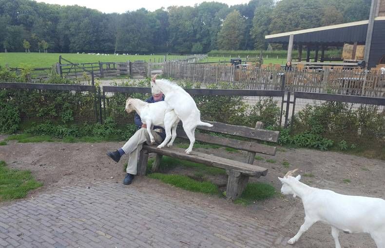 Gewoon een verzameling hilarische foto's #721