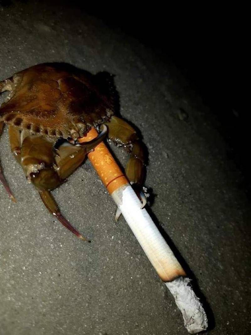 Gewoon een verzameling hilarische foto’s #1107