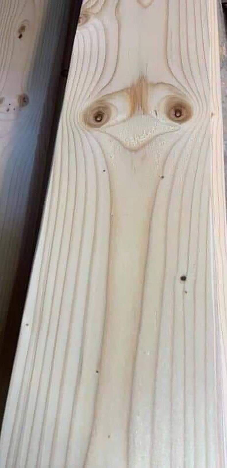 Gewoon een verzameling hilarische foto's #1265