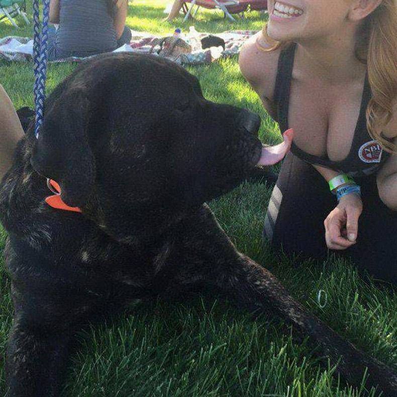 Gewoon een verzameling hilarische foto's #1222