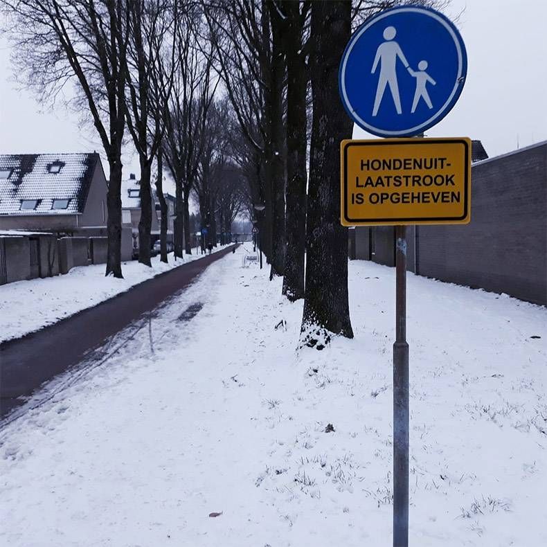 Gewoon een verzameling hilarische foto's #1079