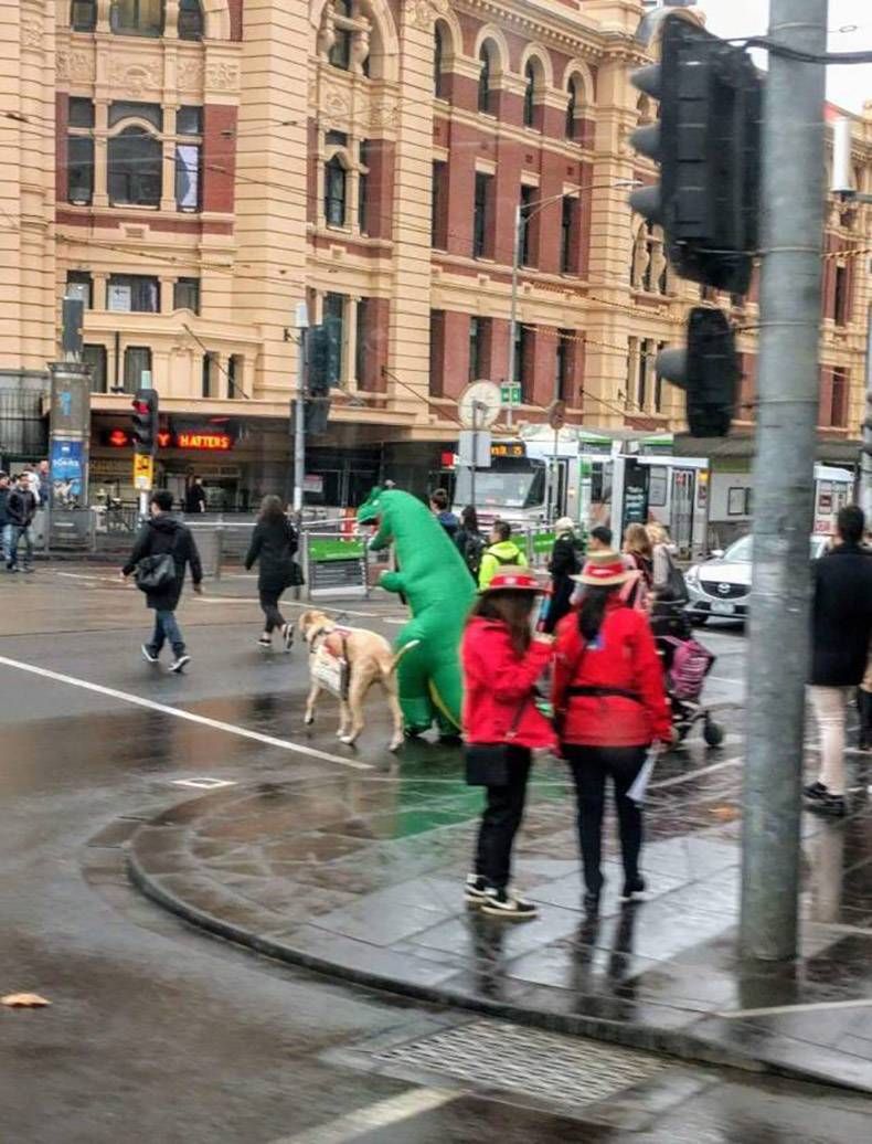 Gewoon een verzameling hilarische foto's #992