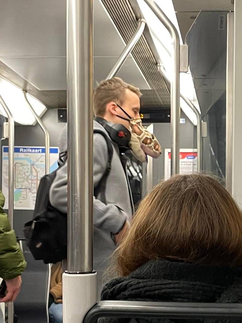 Gewoon een verzameling hilarische foto’s #1370