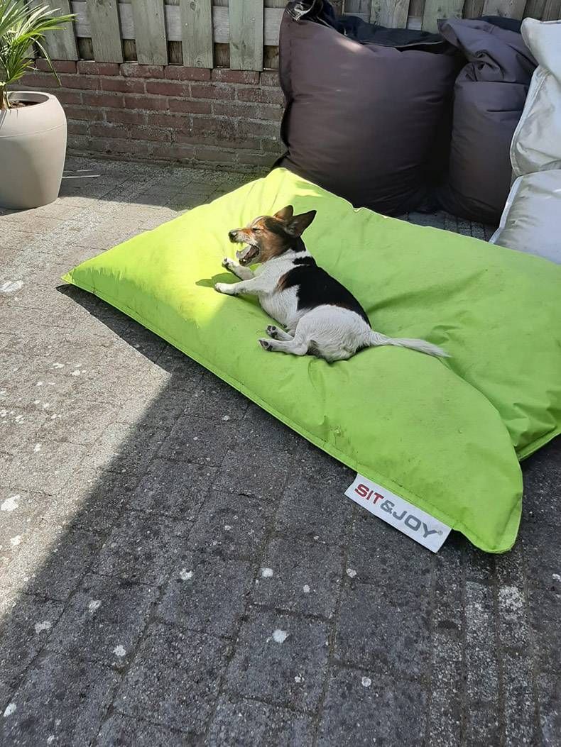 Gewoon een verzameling hilarische foto's #1321