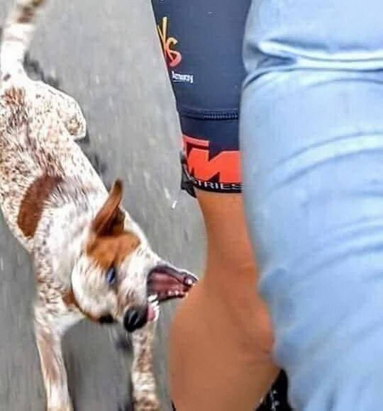 Gewoon een verzameling hilarische foto's #1222