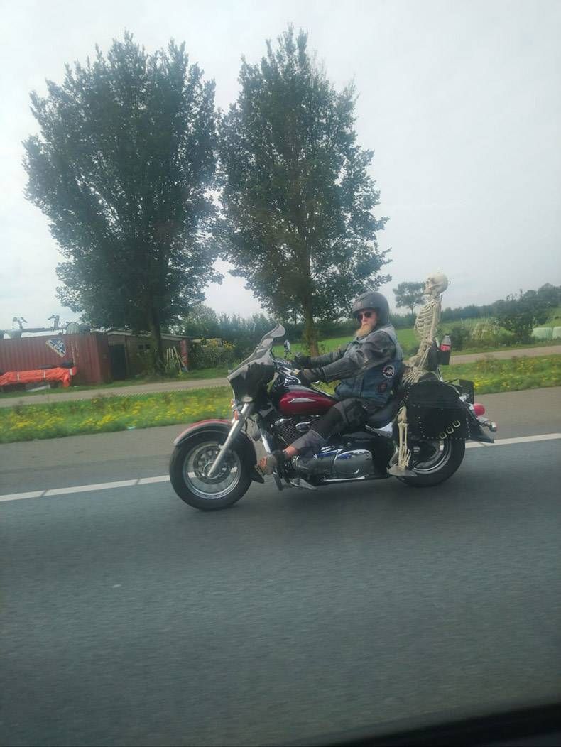 Gewoon een verzameling hilarische foto's #1190