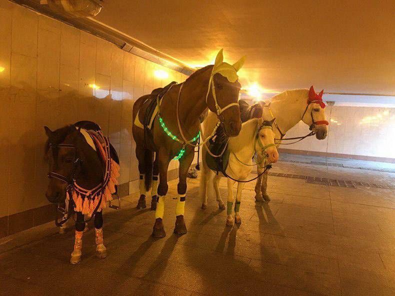 Gewoon een verzameling hilarische foto's #1159