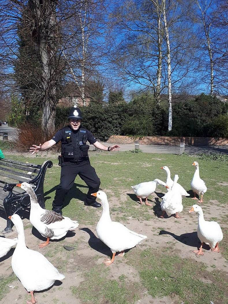 Gewoon een verzameling hilarische foto's #1128