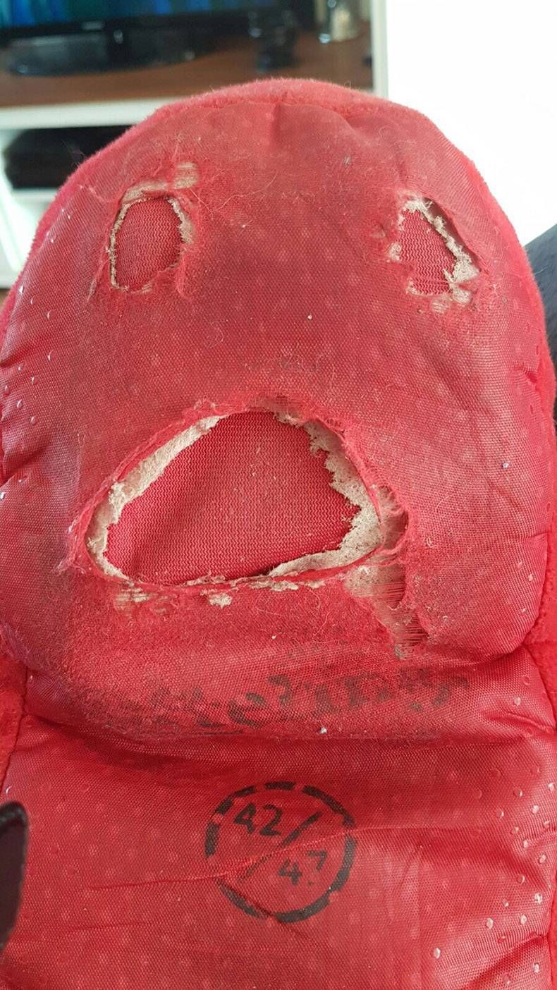 Gewoon een verzameling hilarische foto's #778