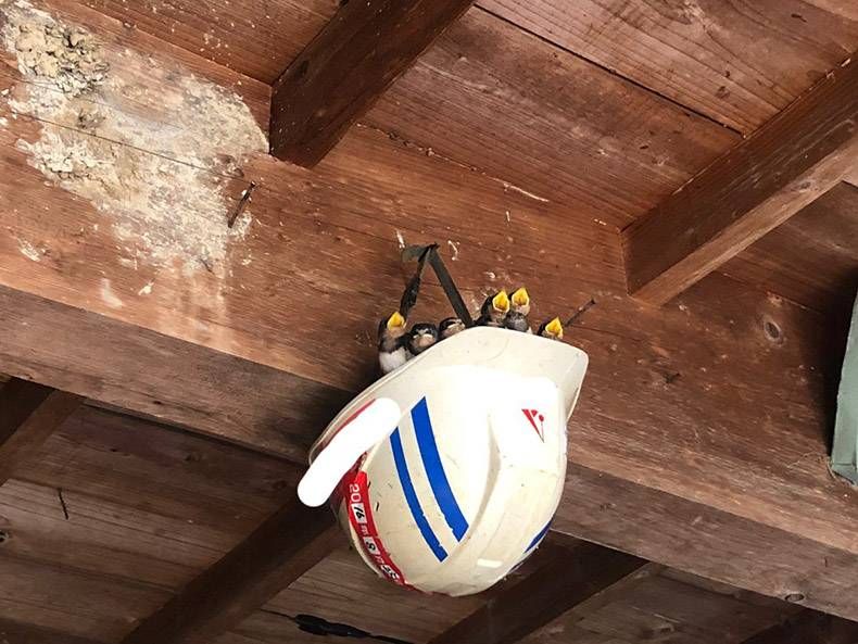 Gewoon een verzameling hilarische foto's #1168