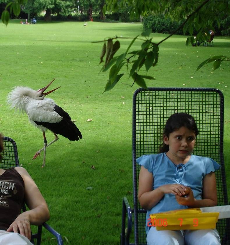 Gewoon een verzameling hilarische foto's #1129