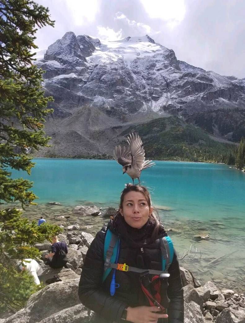 Gewoon een verzameling hilarische foto's #1096