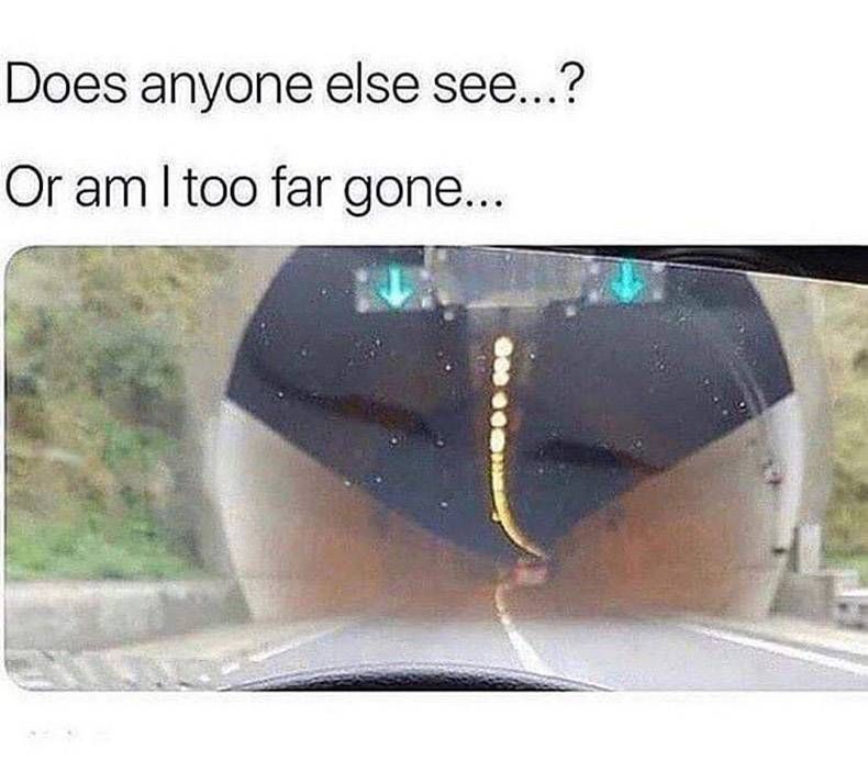 Gewoon een verzameling hilarische foto's #1247