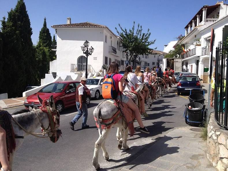 Gewoon een verzameling hilarische foto's #1159