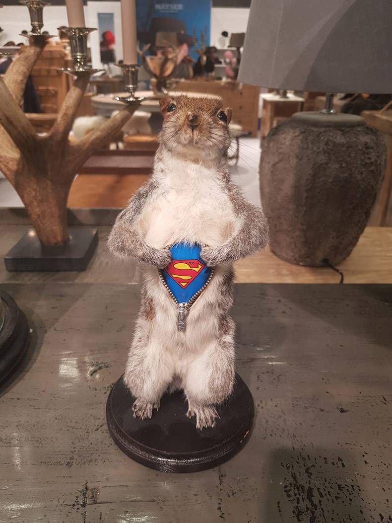 Gewoon een verzameling hilarische foto's #1096