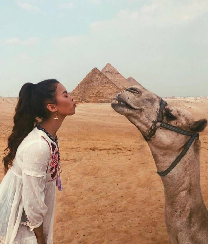 Gewoon een verzameling hilarische foto's #1094