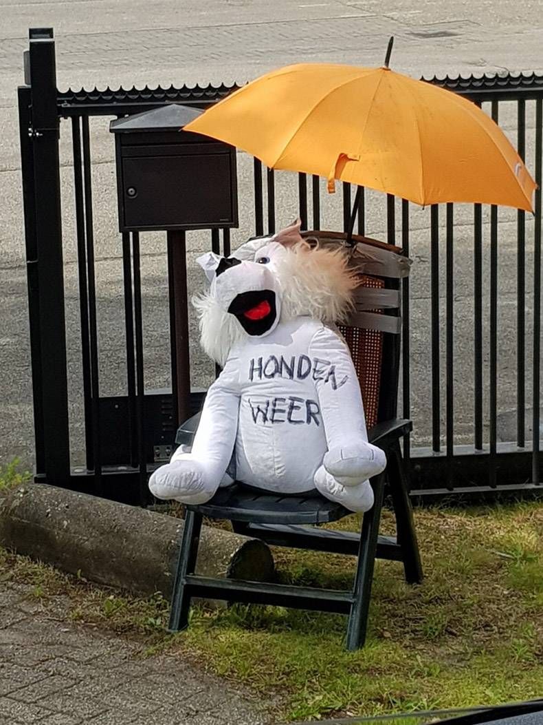 Gewoon een verzameling hilarische foto's #852