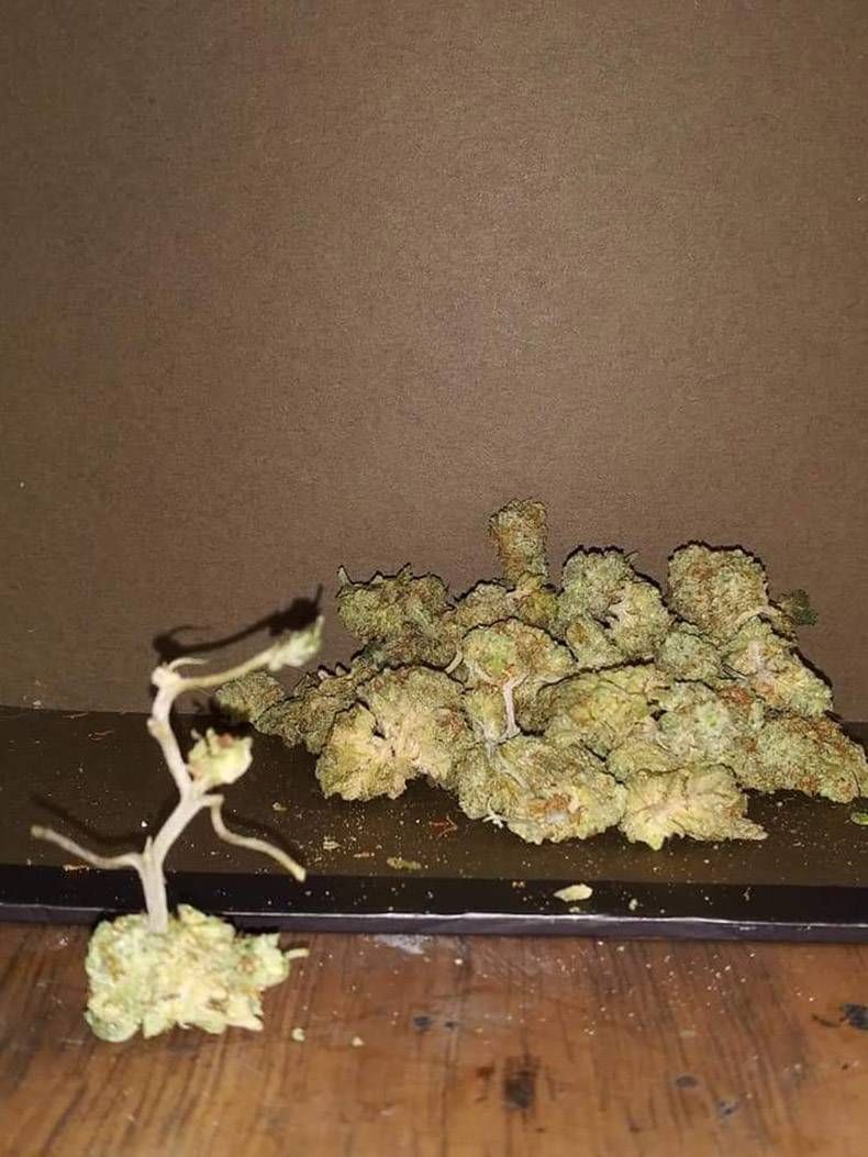 Gewoon een verzameling hilarische foto's #1294