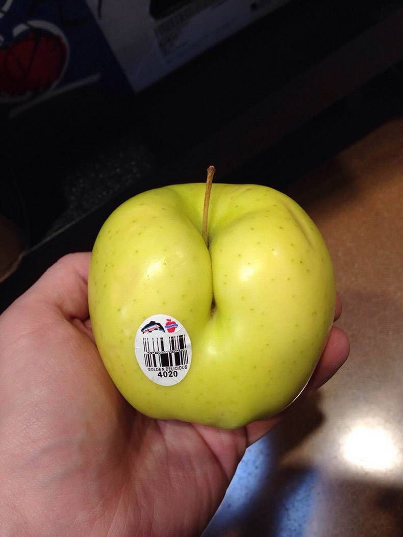 Gewoon een verzameling hilarische foto's #1128