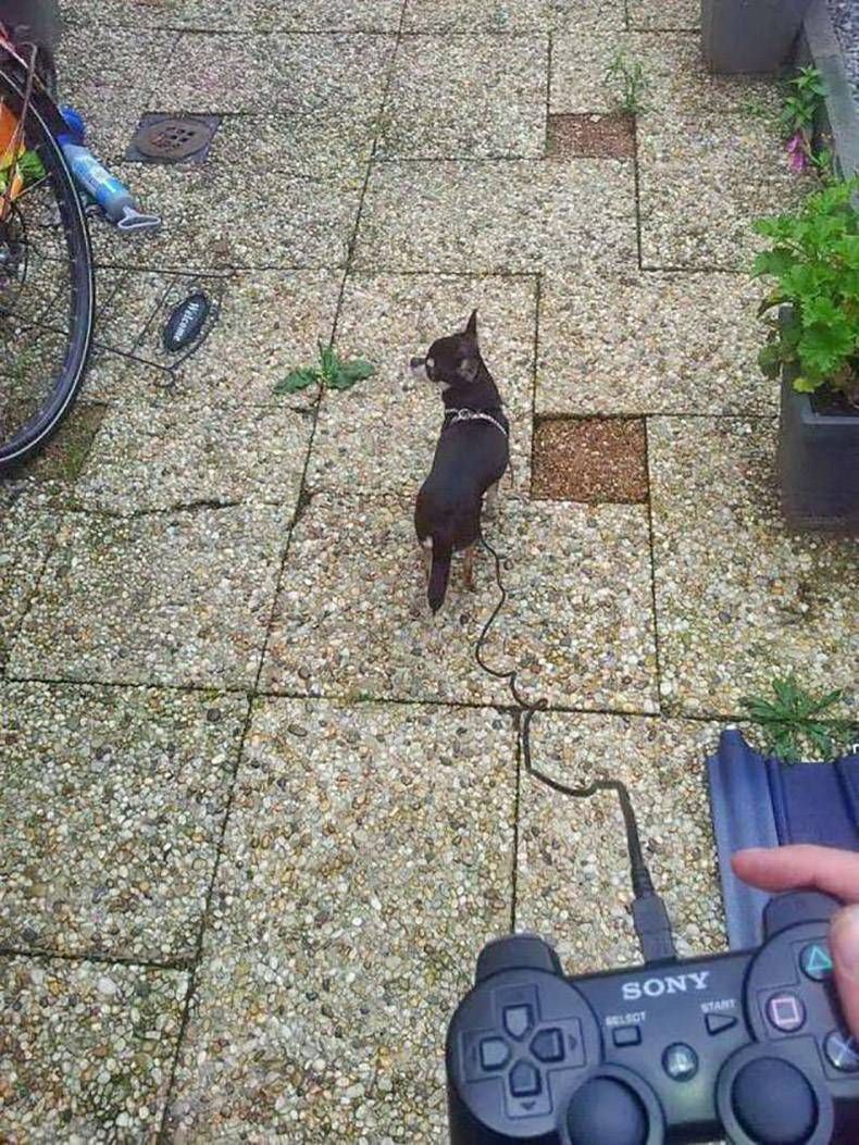 Gewoon een verzameling hilarische foto's #992