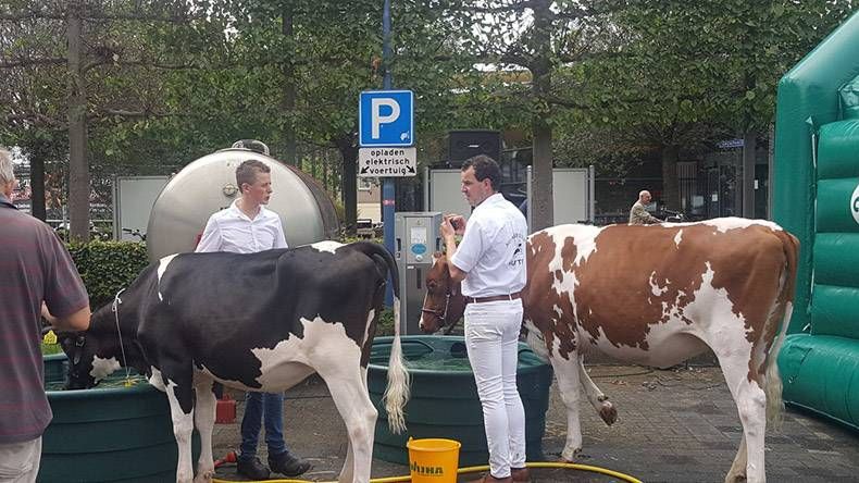 Gewoon een verzameling hilarische foto’s #847