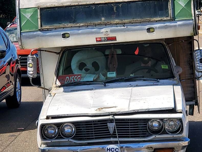 Gewoon een verzameling hilarische foto's #1205