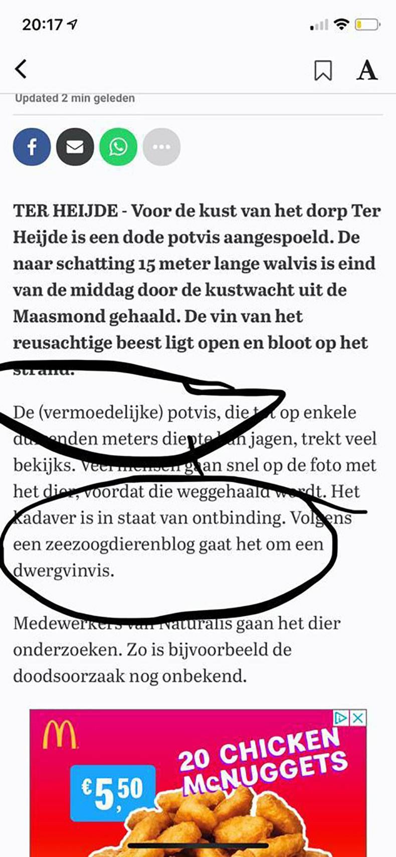 Gewoon een verzameling hilarische foto's #1179