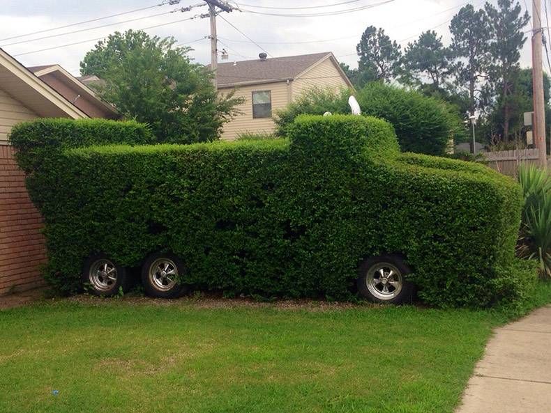 Gewoon een verzameling hilarische foto's #1152