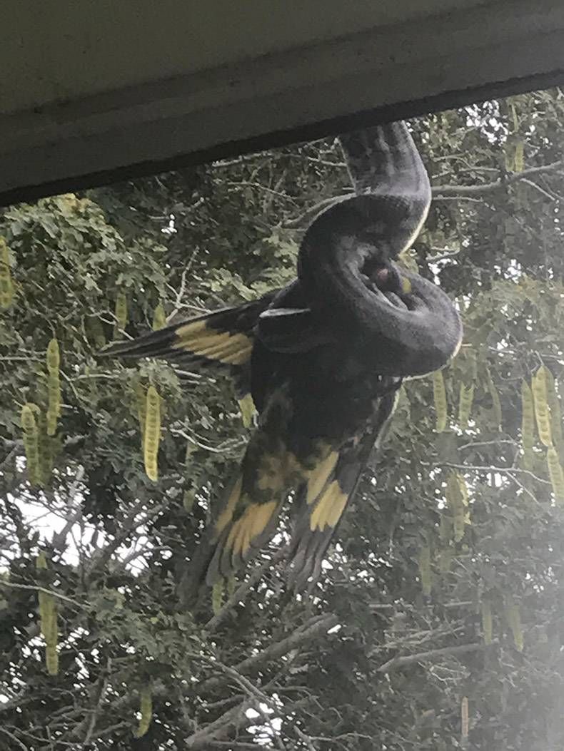 Gewoon een verzameling hilarische foto's #828