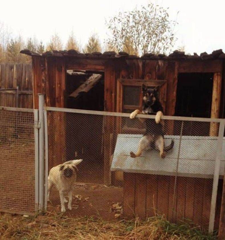 Gewoon een verzameling hilarische foto's #745