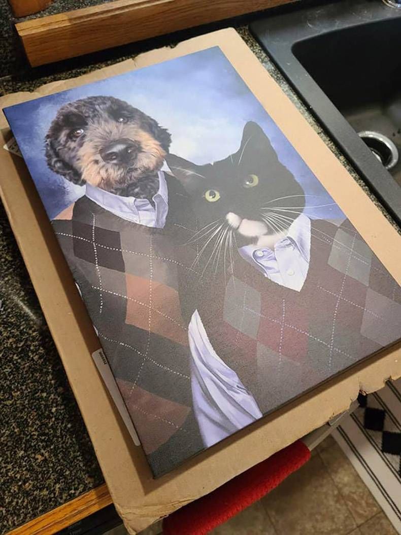 Gewoon een verzameling hilarische foto's #1375