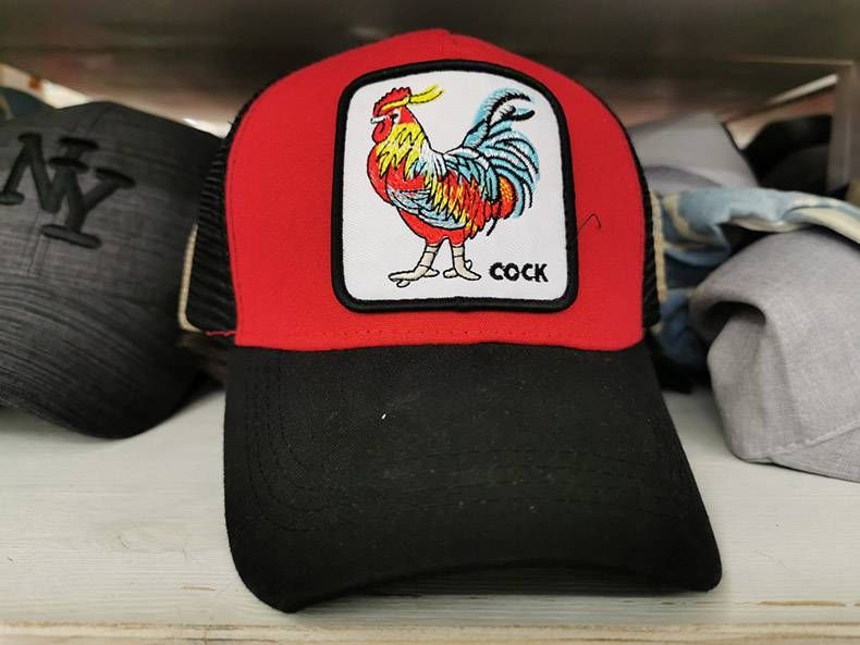 Gewoon een verzameling hilarische foto's #1190