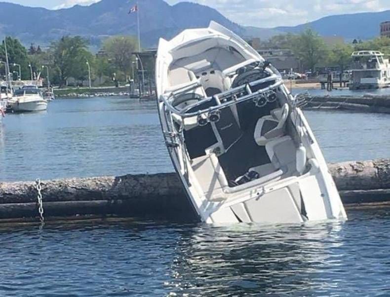 Gewoon een verzameling hilarische foto's #1129