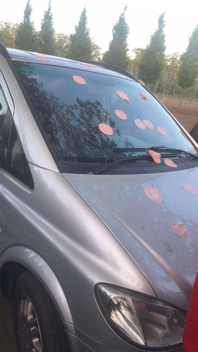 Gewoon een verzameling hilarische foto's #1127