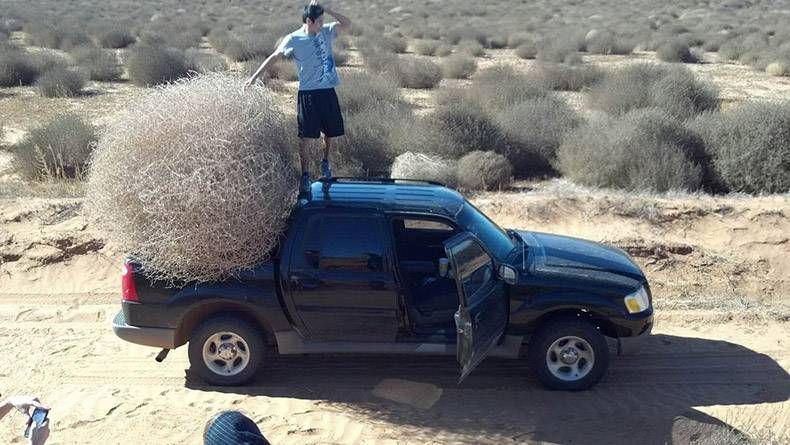 Gewoon een verzameling hilarische foto's #1089