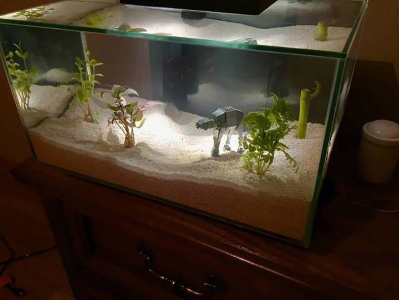 Gewoon een verzameling hilarische foto’s #978