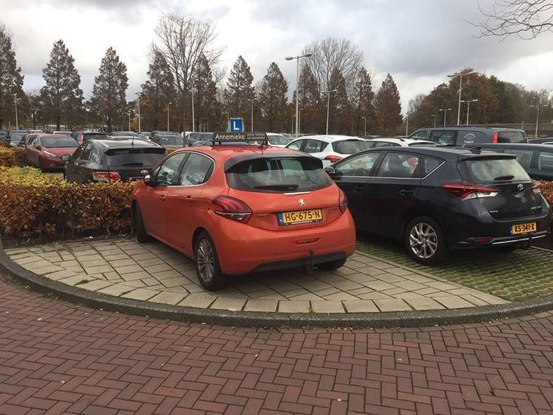 Gewoon een verzameling hilarische foto's #895