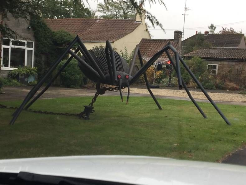 Gewoon een verzameling hilarische foto's #728