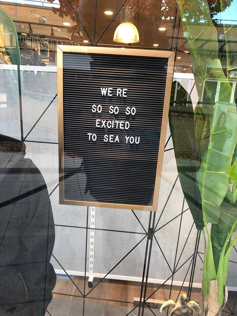 Gewoon een verzameling hilarische foto's #1205