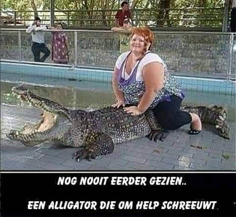 Gewoon een verzameling hilarische foto's #1069