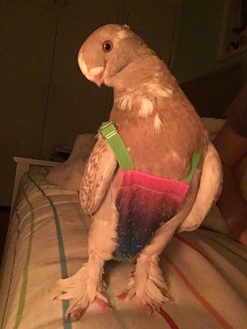 Gewoon een verzameling hilarische foto's #1037