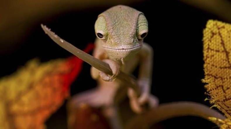 Gewoon een verzameling hilarische foto’s #978