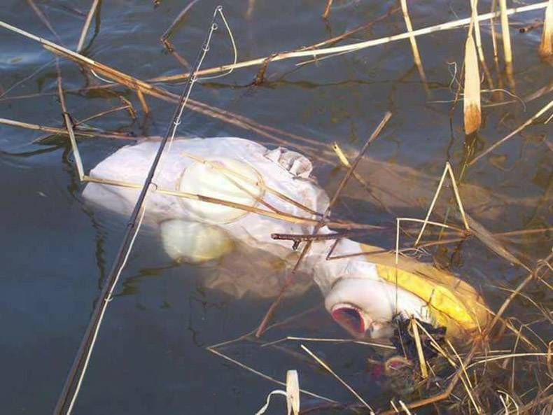 Gewoon een verzameling hilarische foto's #893