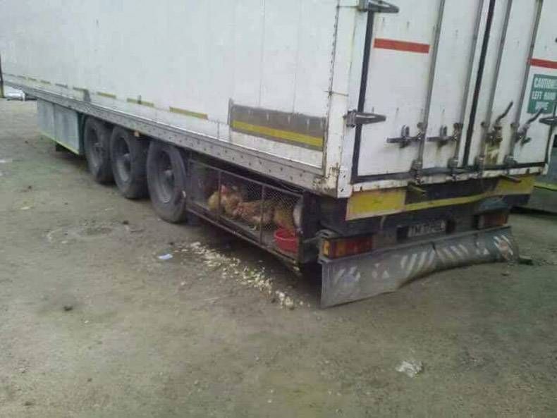 Gewoon een verzameling hilarische foto's #823