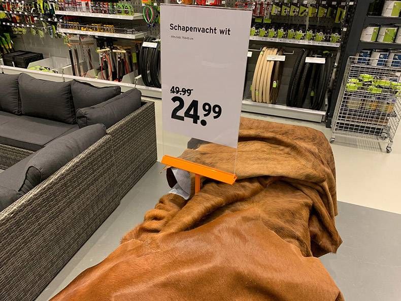 Gewoon een verzameling hilarische foto's #1256